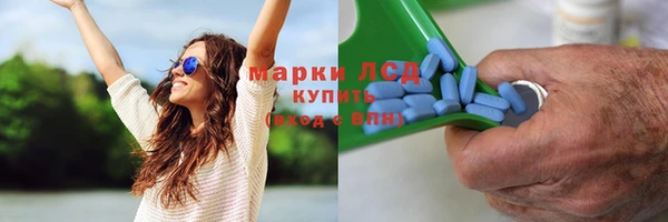 эйфоретик Белокуриха