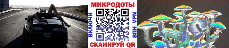 Псилоцибиновые грибы Magic Shrooms  даркнет сайт  Ефремов 